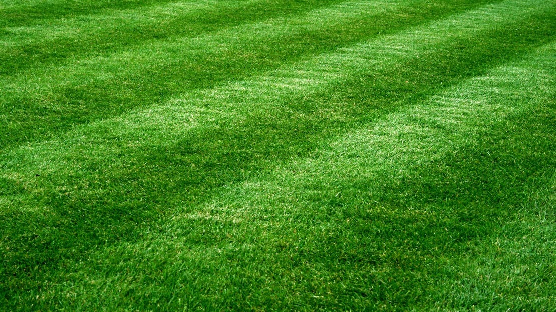 Real lawn garden landscaping project in Cheltenham